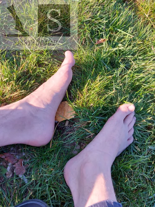 Probably last days with green grass for this year by sissy4domme