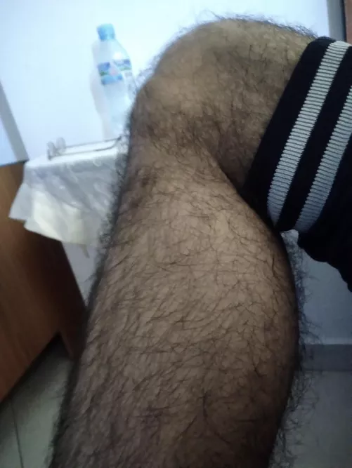 Proud of my hairy legs by Lucky-Aerie4