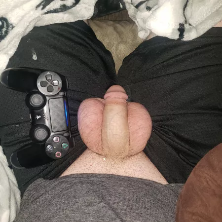 PS4 controller for scale by 10inSinBegin