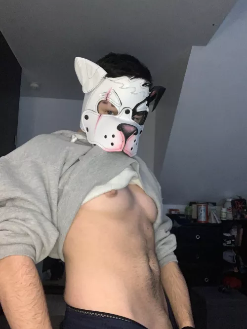 Puck wants to play with all the cute puppies here 🥰🐾💪🏻 by ftm_pup