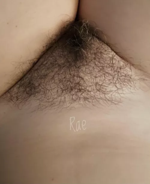 Pull my hair? ☺️ by lustyrae