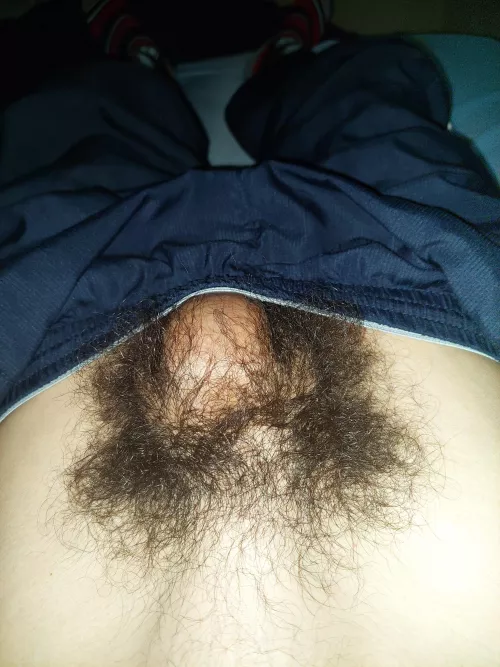 Pull my pants down to reveal the rest by rdnmGuy