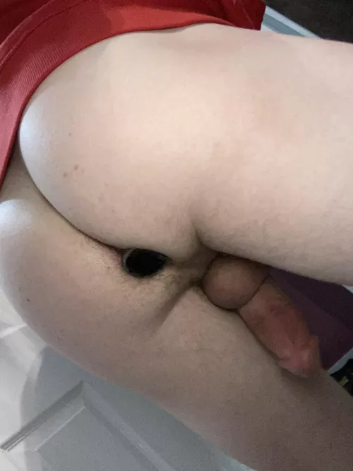 Pull my plug out. Fill it up. Put my plug back in. by Mindless_Case1315