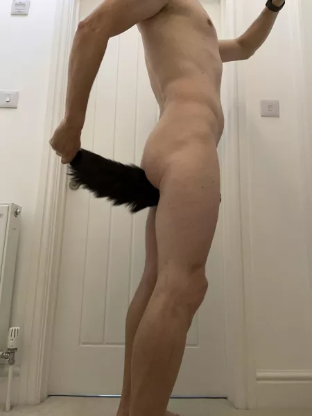 Pull my tail? by lycyou