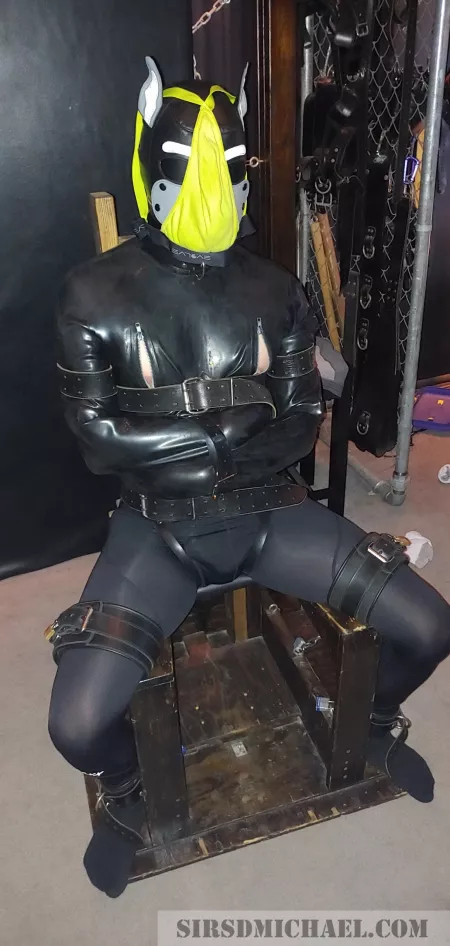 Pup bound in a rubber straitjacket, gagged, and strapped to a bondage chair by sdmichael