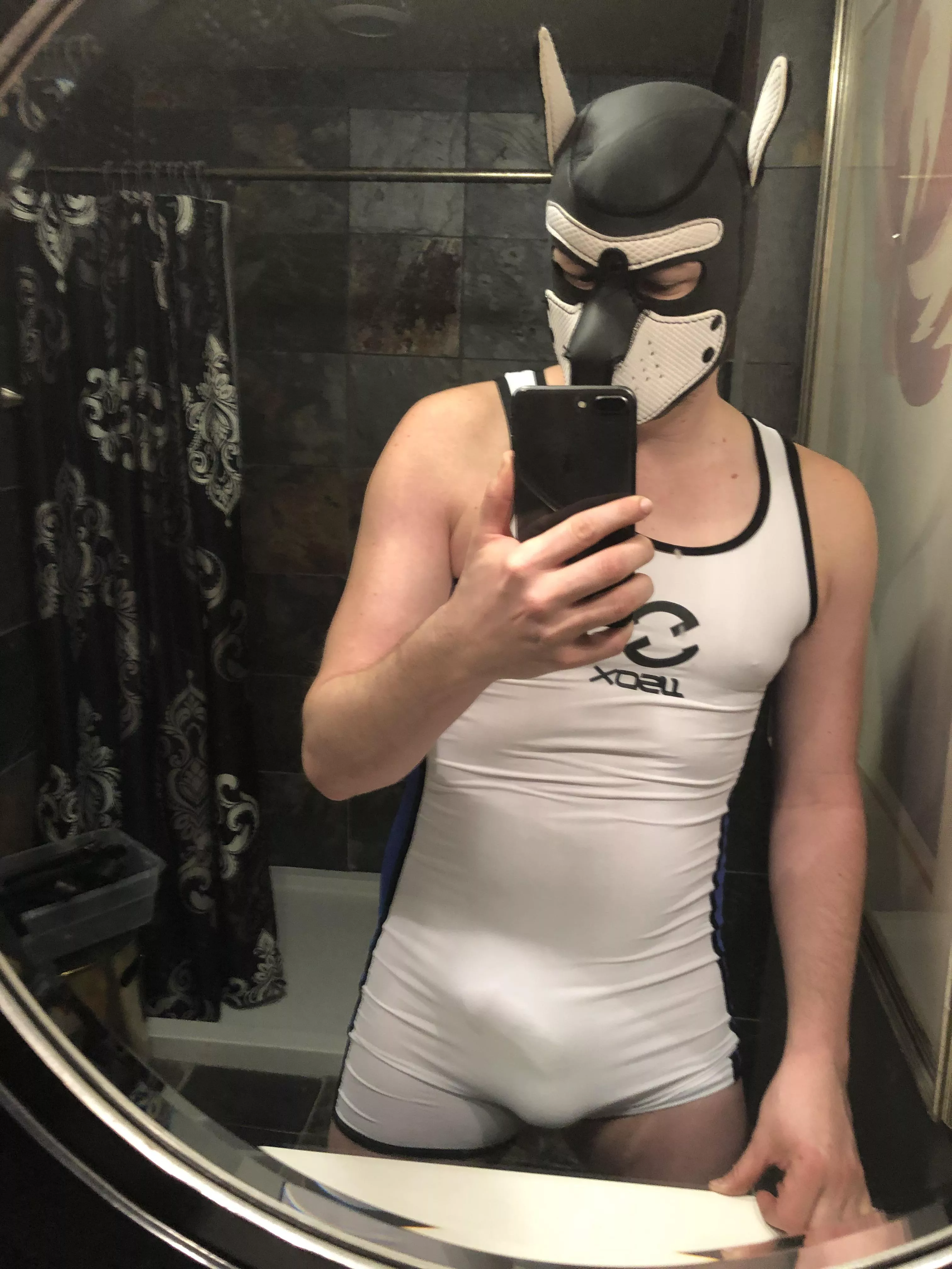 Pup posted by zimzim1987