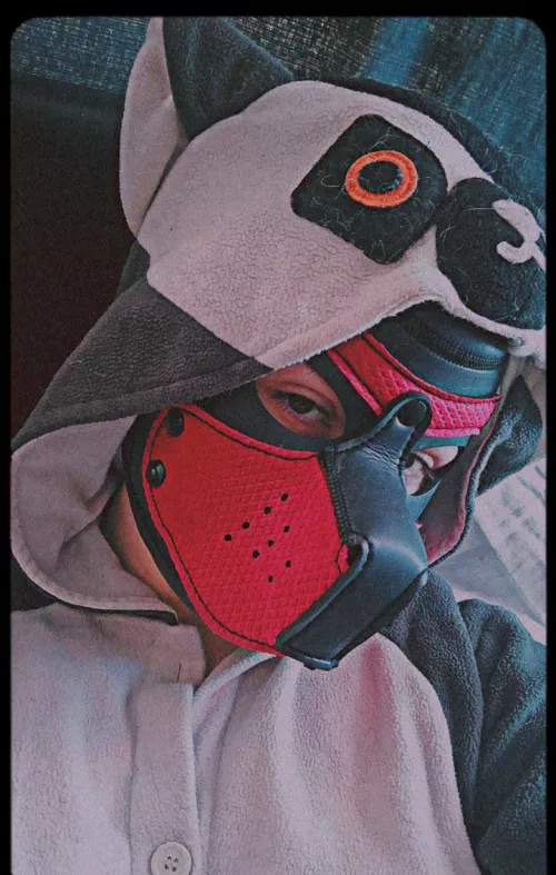 Pup in disguise? by hells1ck