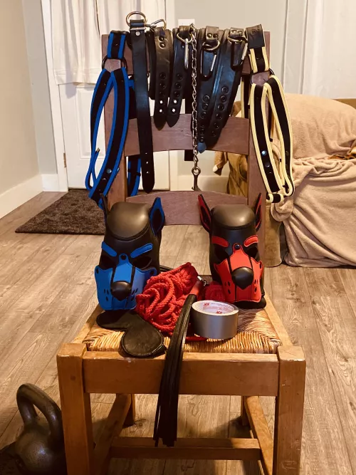 Pup Saturday night! by PuppClutch