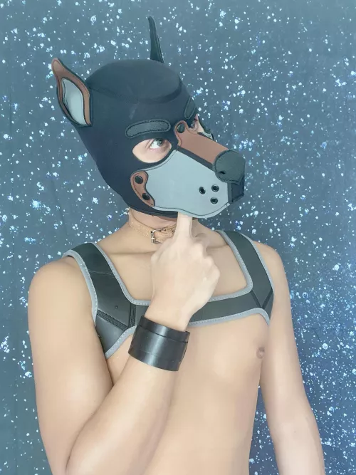 @pupmauji by pattrickq