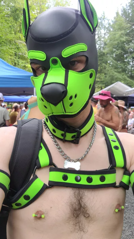 Pupping out at camp!! Woof! by Pup_Piston