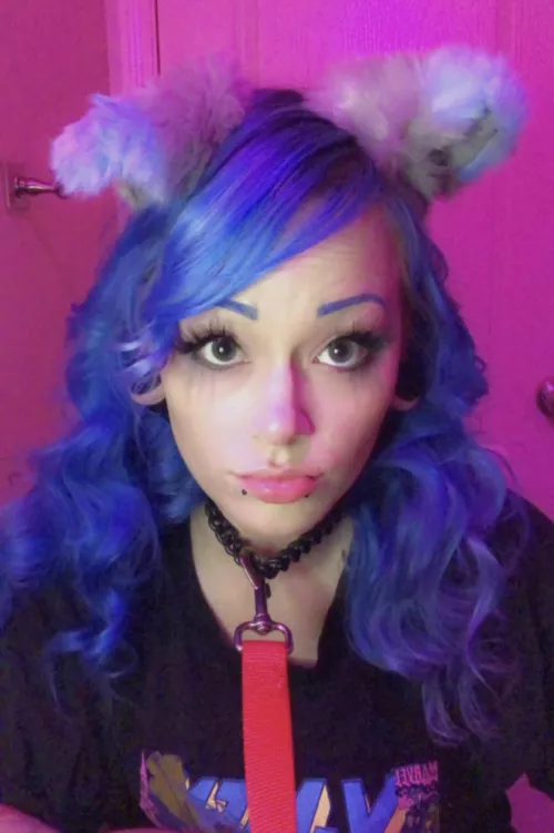 Puppy dog eyes , take me for a walk 🦴 by jxxxa