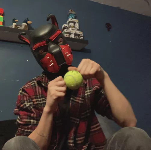 Puppy found a ball at the park! I’m a happy boy ruff! by PuppyDrewsif