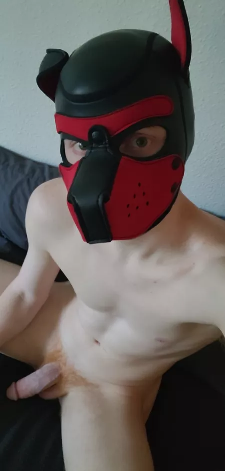 Puppy is Lonely Today by Jocose_Ginger