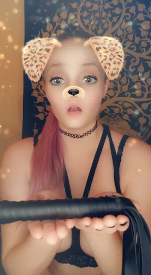 Puppy presenting her flogger for you to use on her! by 1joy453