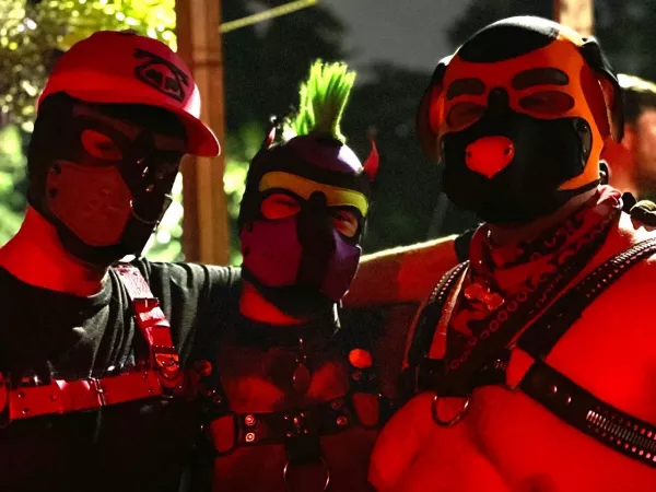 Pups on a night out by PupLumi