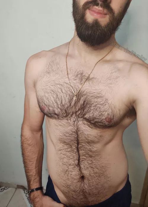 Pure chest hair porn by Bearded_Hunky