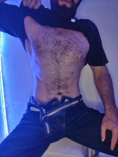 Pure chesthair porn for you guys, good morning ;) by Bearded_Hunky