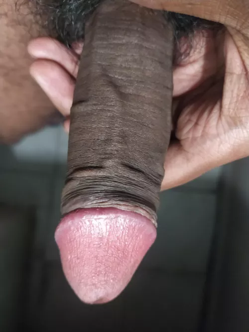 Pure Indian Cock. Any comments?💦 by Scary_Sanj