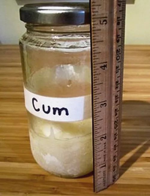 Purged/deleted this photo in 2020 but just found a thumbnail on the net that I could enl That's why it's not sharp focus, sorry. My own cum that an Atlanta Domme had me accumulate so she could pump it in my mouth with a turkey baster (roughly the equiv by SissyAeonCucks