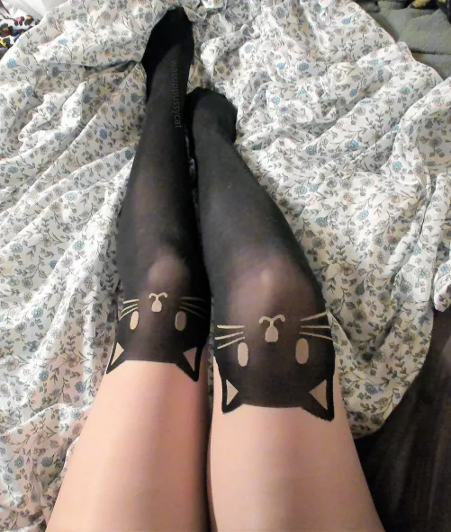 Purrrrrrfect! =^.^= by wasuppussycat