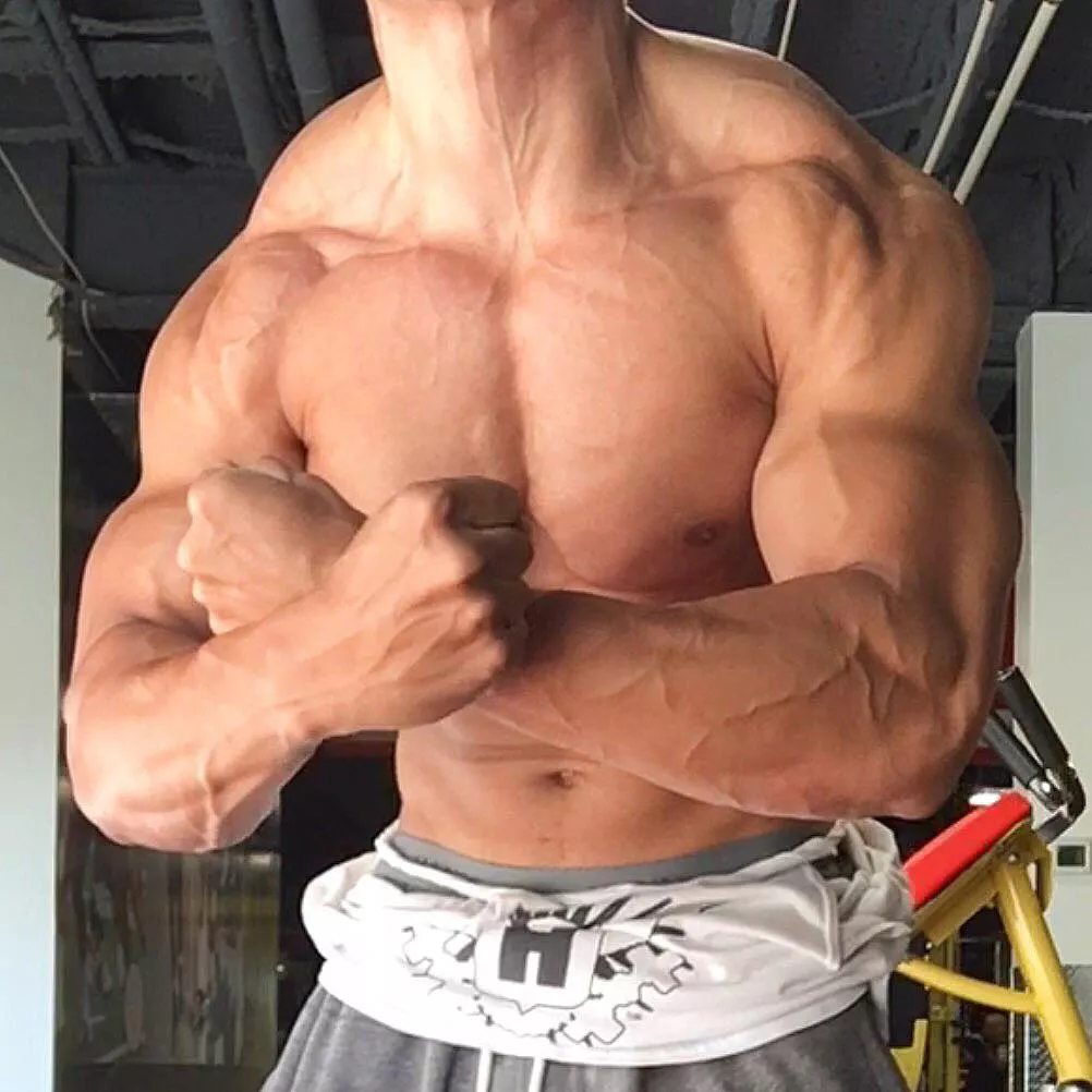 pushing the limits as usual posted by novagains