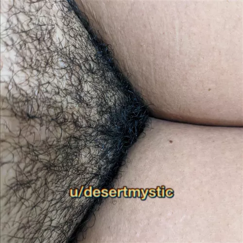 ∆ pussy power ∆ by desertmystic1