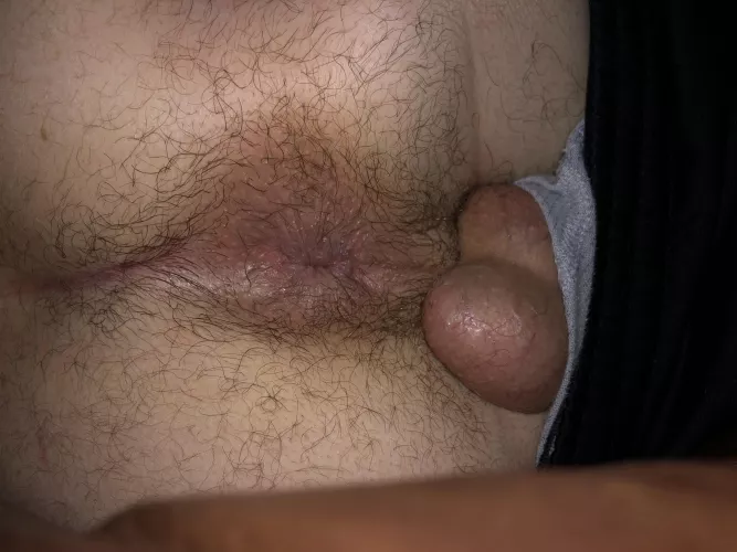 Put it in me by Fabulous-Reading2444