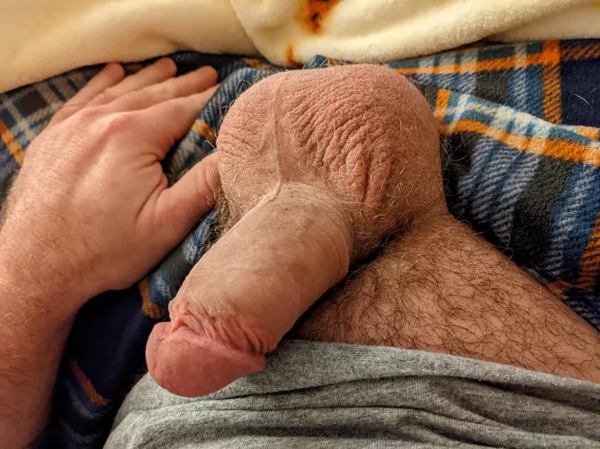 Put my big hairy nuts in your mouth by ticklemetesticless