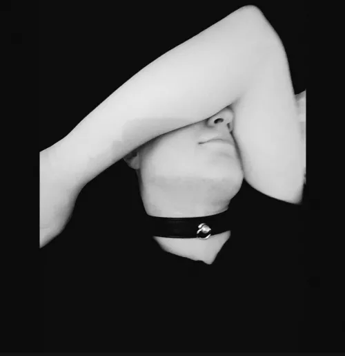 Put your leash on me. If you dare ;) by CookieMercyOW