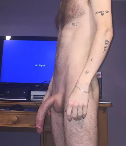 Quarter chub by Caseytwo