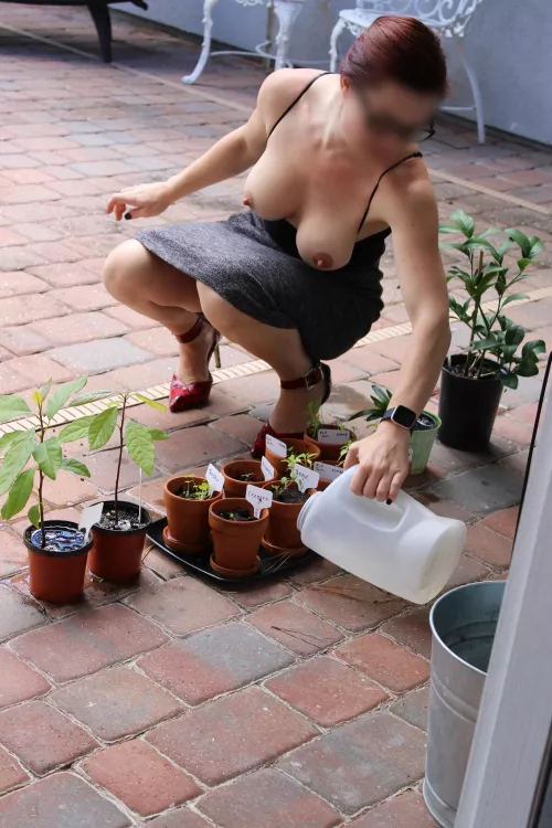 Quenching their thirst by actuarial_venus