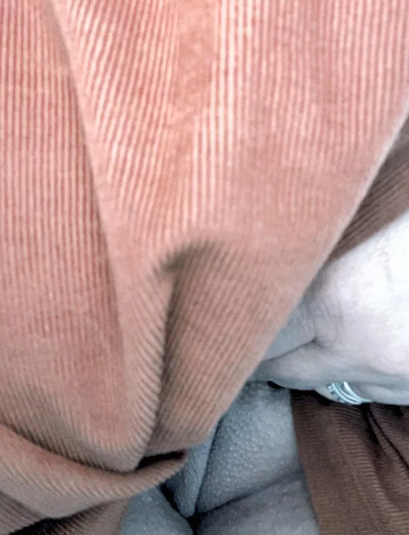 Quick desk peek 😀 posted by Letsgogirls69