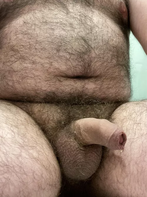 Quick one before showering? HMU by beardnhairy