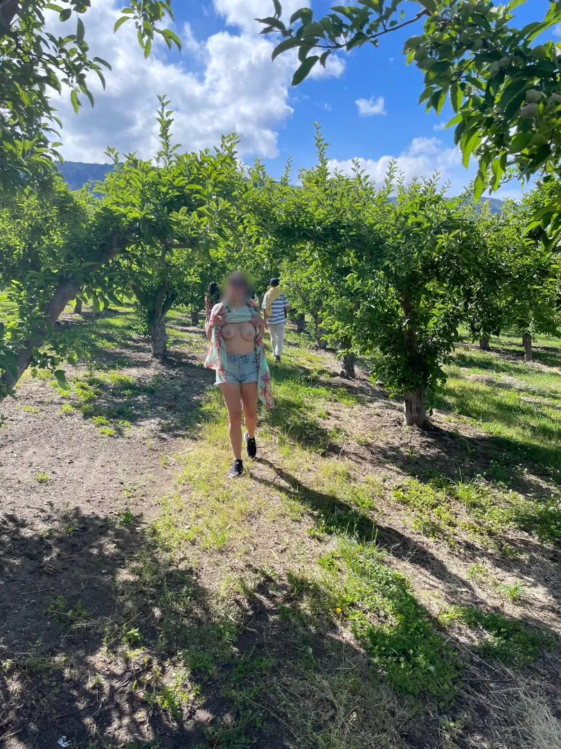 Quick orchard flash 👀🔥 [0:07] by Baddieanddaddy