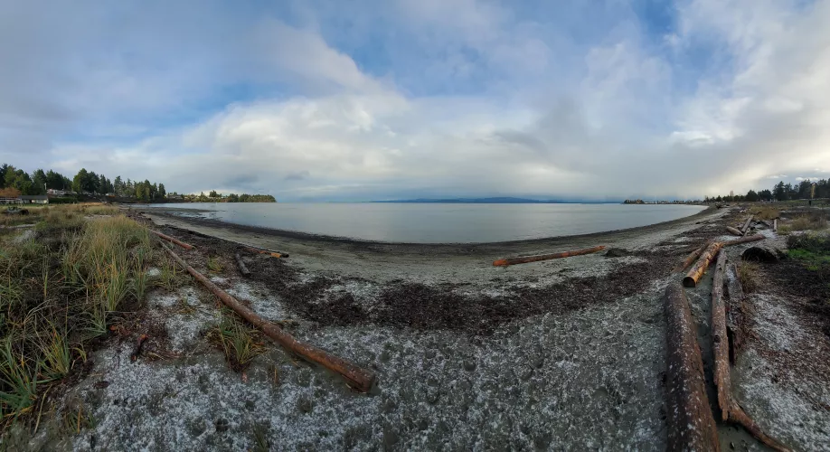 Quiet morning in the bay