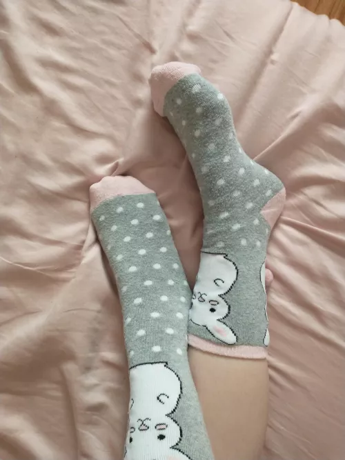 Quite cold this morning by ImaginaryFormulas