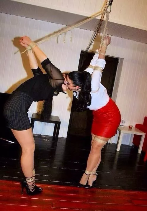 Quite the pair posted by MalikRune