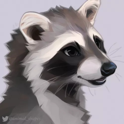 racoon by @animal_shapes on twitter! by bitesize_art