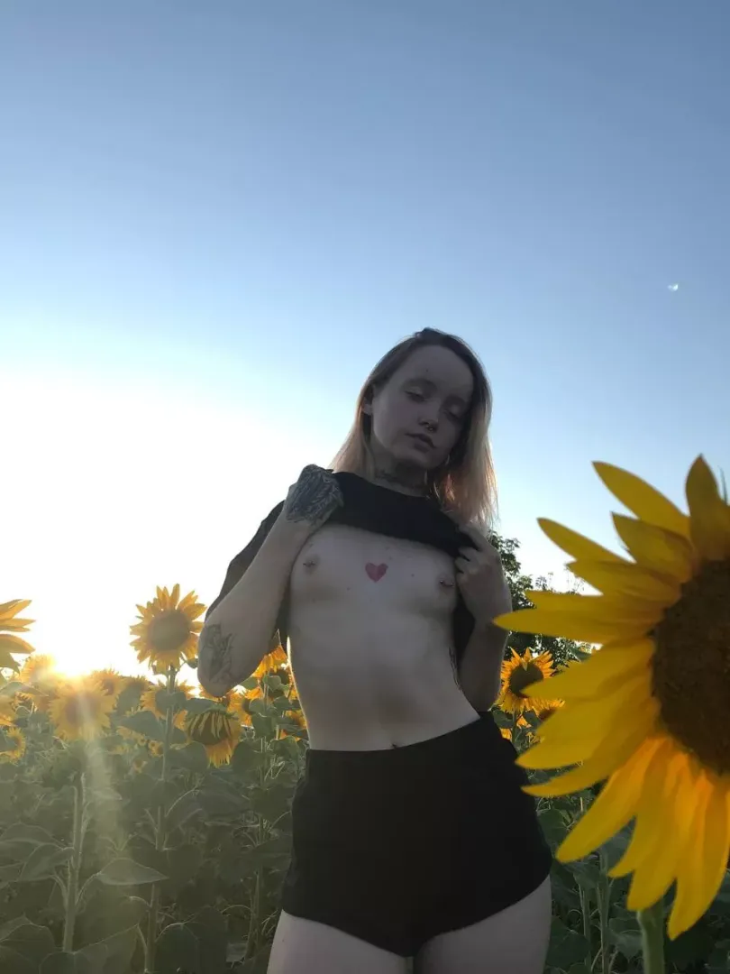 Raise your dick if you like my small boobs! posted by arianna_malphy