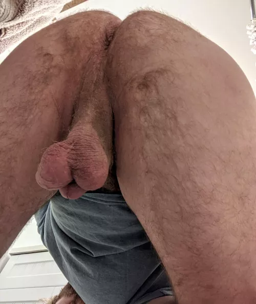 Raise your hand if you'd eat my smelly ass by hugenutsmcgee