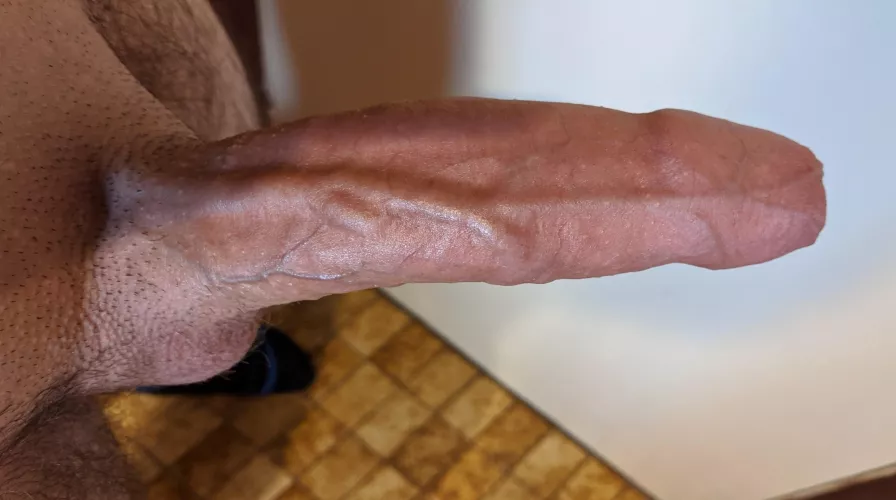 Rate an Aussie cock? by HungEnigma