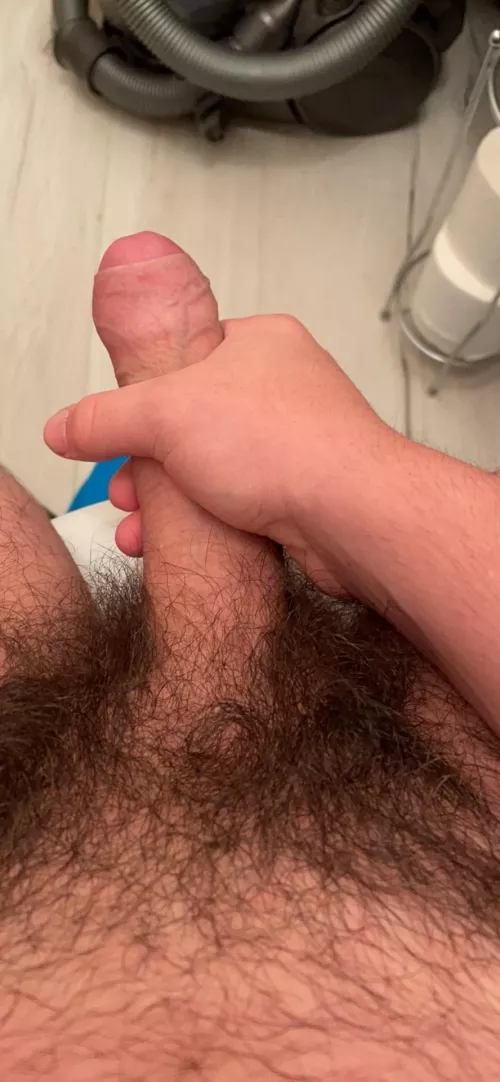 Rate it I hate it by gasly10max