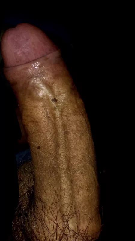 Rate it 😛 by East-Zookeeper13