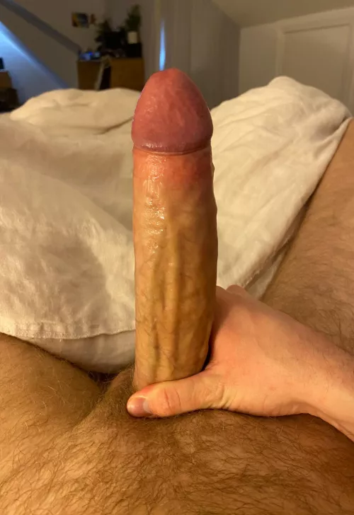 Rate it out of 10 by jaysarno