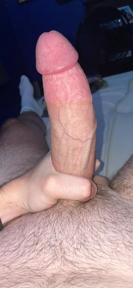 Rate my 19 y/o dick by Hot_Union9543