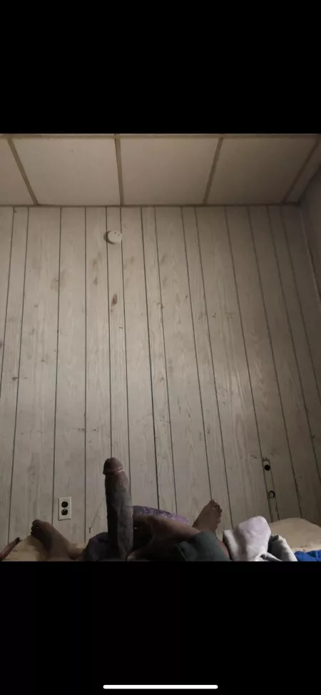 Rate my dick by Newtothis215