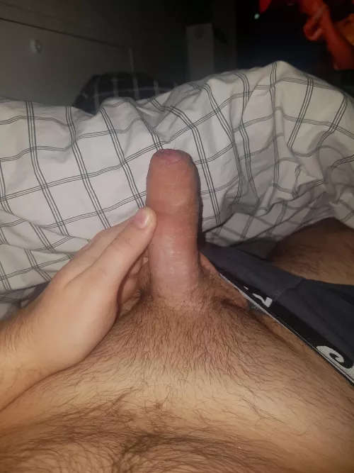 Rate my dick by Exact_Being4008