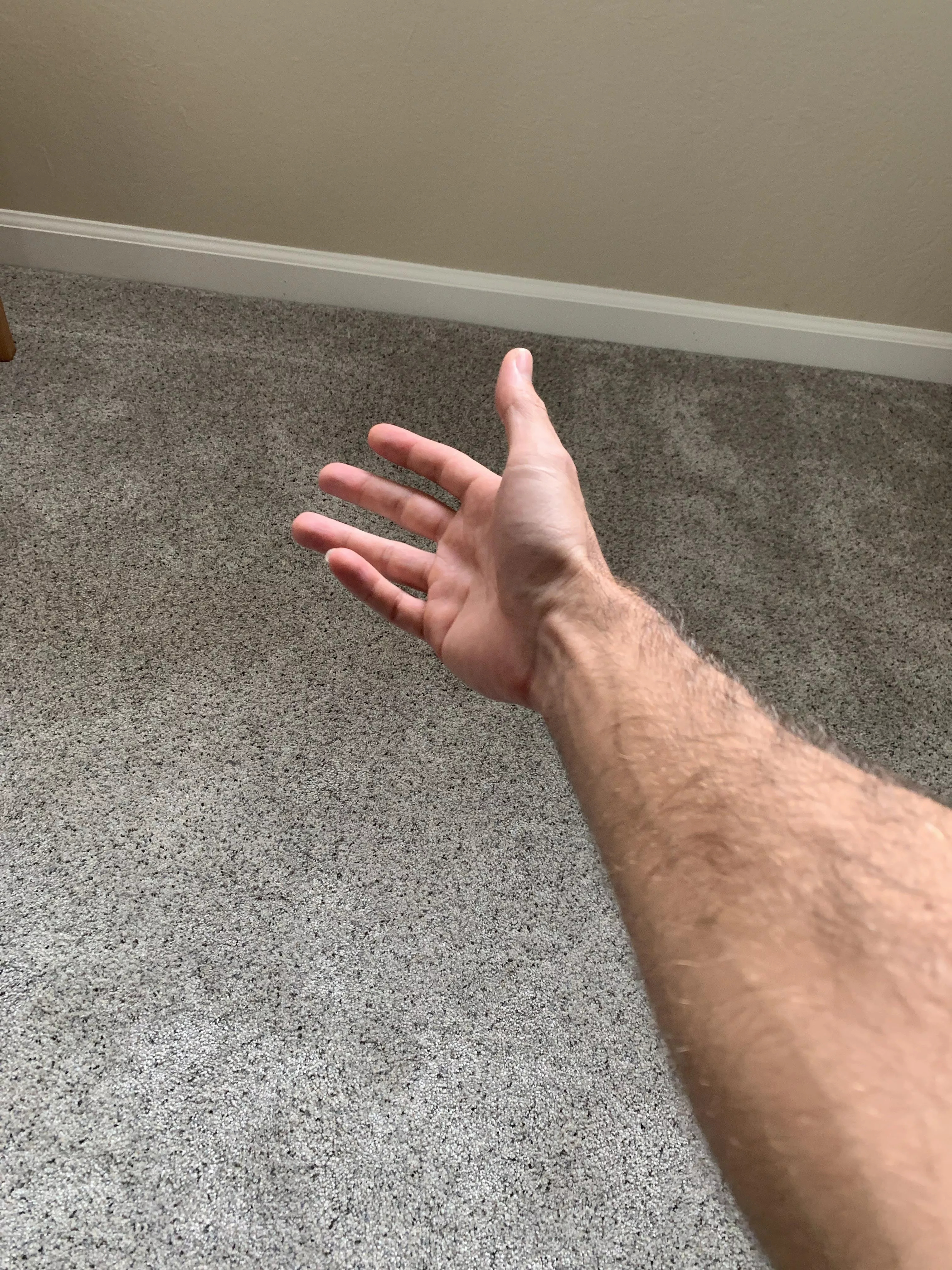 Rate my forearm 🤓 posted by MenloBull