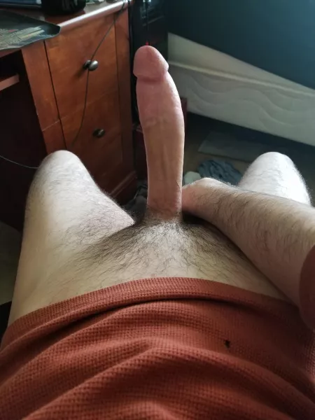 rate my horse cock (PM'S welcome) by insearchofwomen