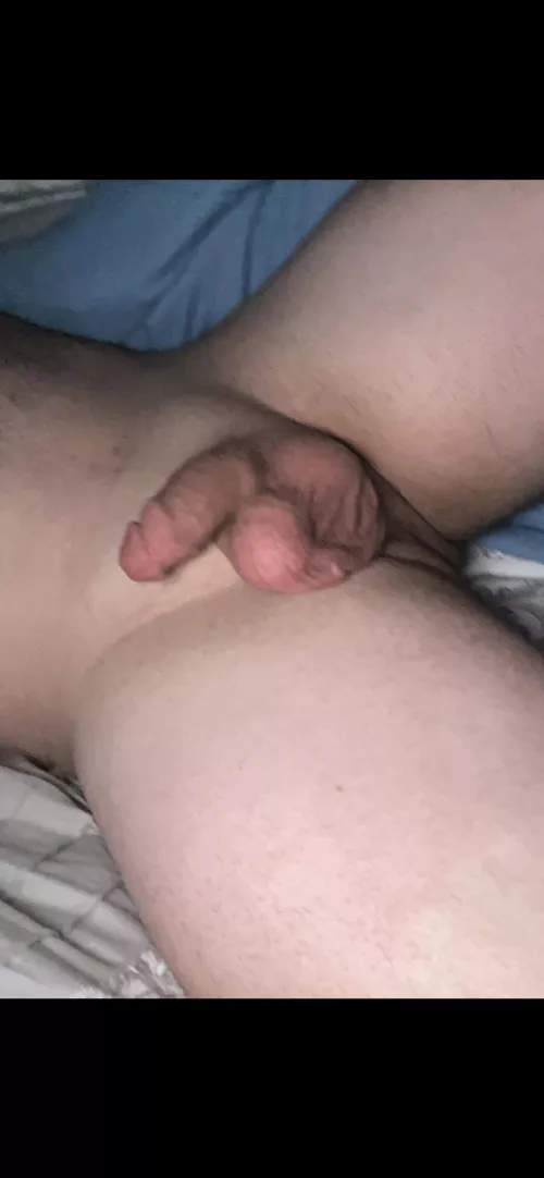 Rate my soft cock and saggy balls by wasabipea0